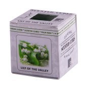 Аромакубики ЛАНДЫШ (8шт) Светло-зелёный