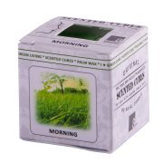 Аромакубики УТРО (8шт) Светло-зелёный