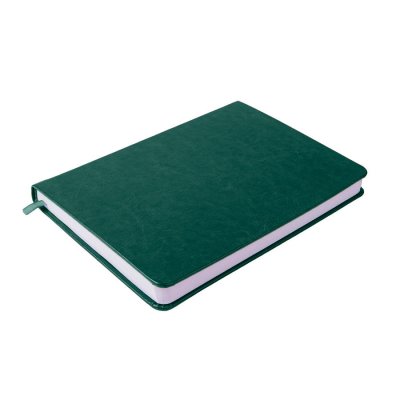 Ежедневник недатированный Duncan, формат А5,  в линейку Зеленый