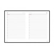 Ежедневник недатированный А6+ «Velvet» арт. 3-495.36