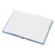 Ежедневник недатированный А6+ «Velvet» арт. 3-495.35