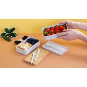 Контейнер для ланча Контейнер для ланча