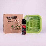 Комплект для проращивания микрозелени: проращиватель, семена редиса бежевый арт. 33816/редис