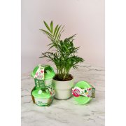 Комплект для выращивания. 