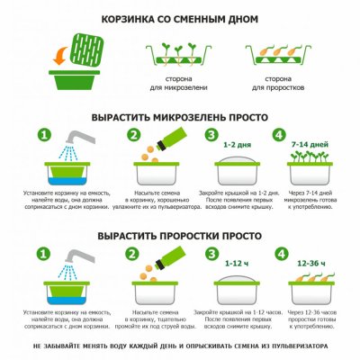 Подарочный набор для проращивания микрозелени: проращиватель, семена дайкона Зеленый