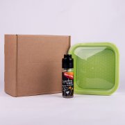 Подарочный комплект для проращивания микрозелени: проращиватель, семена микс Зеленый