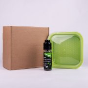 Подарочный комплект для проращивания микрозелени: проращиватель, семена мицуны Зеленый