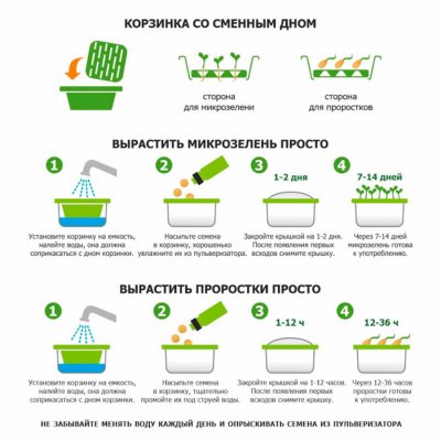 Подарочный комплект для проращивания микрозелени: проращиватель, семена руколы Светло-зелёный арт. 33817/рукола