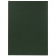 Ежедневник Flat, недатированный, зеленый
