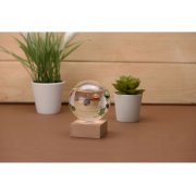 Термометр «Galileo»