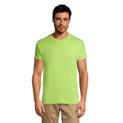 Футболка унисекс REGENT 150 Зеленое яблоко арт. 711380.280 Футболка унисекс REGENT 150 Зеленое яблоко арт. 711380.280