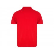 Рубашка поло «Austral» мужская арт. 663260