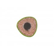 Трехгранный карандаш «Conti» из переработанных контейнеров