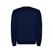 Свитшот с начесом «Clasica» унисекс арт. 107055