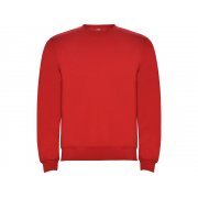 Свитшот с начесом «Clasica» унисекс арт. 107060