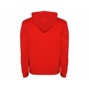 Толстовка с капюшоном «Urban» мужская