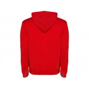 Толстовка с капюшоном «Urban» мужская арт. 106760