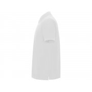 Рубашка поло «Pegaso» мужская арт. 660901