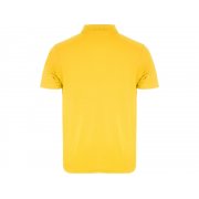 Рубашка поло «Austral» мужская арт. 663203