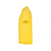 Рубашка поло «Austral» мужская арт. 663203