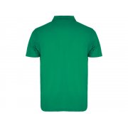 Рубашка поло «Austral» мужская арт. 663220