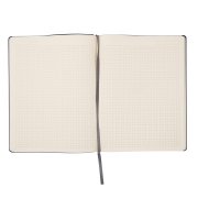 Бизнес-блокнот BIGGY, формат B5,  в клетку Зеленый арт. 21218/15/30