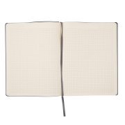 Бизнес-блокнот BIGGY, формат B5,  в клетку Голубой арт. 21218/22/30