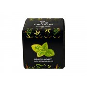 Набор для выращивания «Small village cube «Мелиса Мохито»