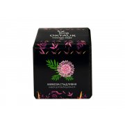 Набор для выращивания «Small village cube «Мимоза стыдливая»