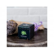 Набор для выращивания «Small village cube «Агава Благородная»