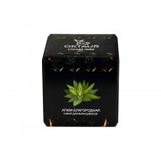 Набор для выращивания «Small village cube «Агава Благородная»