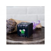 Набор для выращивания «Small village cube «Эхиноцереус»