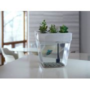 Набор для выращивания растений и ухода за рыбкой «Акваферма»