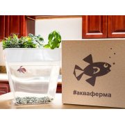 Набор для выращивания растений и ухода за рыбкой «Акваферма»