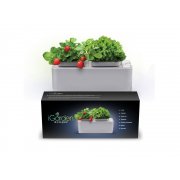 Компактный смарт-сад «iGarden»