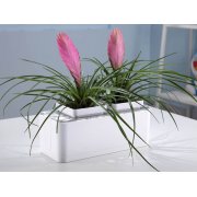 Компактный смарт-сад «iGarden»