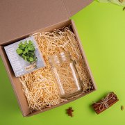 Набор подарочный PARTYMAKER: кружка-банка, горшочек для выращивания мяты, коробка, стружка прозрачный, зеленый арт. 35005 Набор подарочный PARTYMAKER: кружка-банка, горшочек для выращивания мяты, коробка, стружка прозрачный, зеленый арт. 35005