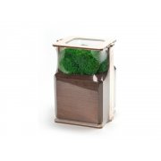 Композиция «Мох в интерьере»