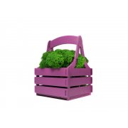 Композиция «Корзинка со мхом»