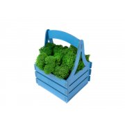 Композиция «Корзинка со мхом»