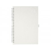 Блокнот на спирали А5 «Dairy Dream»