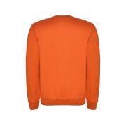 Свитшот с начесом «Clasica» детский арт. 1070431