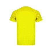 Спортивная футболка «Montecarlo» мужская арт. 4250221