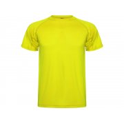 Спортивная футболка «Montecarlo» мужская арт. 4250221