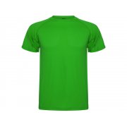 Спортивная футболка «Montecarlo» мужская арт. 4250226