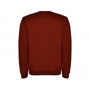 Свитшот с начесом «Clasica» унисекс арт. 107057