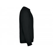 Свитшот с начесом «Clasica» унисекс арт. 107046