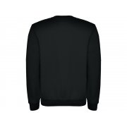 Свитшот с начесом «Clasica» унисекс арт. 107046