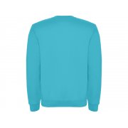 Свитшот с начесом «Clasica» унисекс