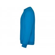 Свитшот с начесом «Clasica» унисекс арт. 1070100